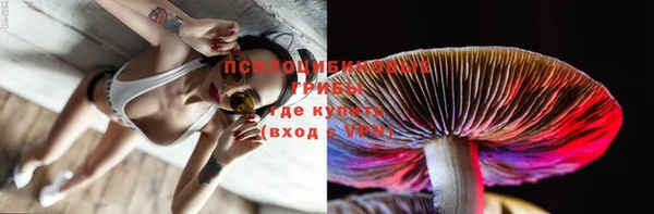 хмурый Горнозаводск