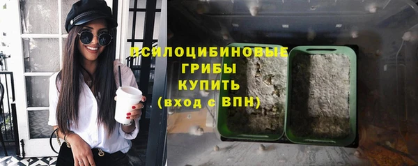 хмурый Горнозаводск